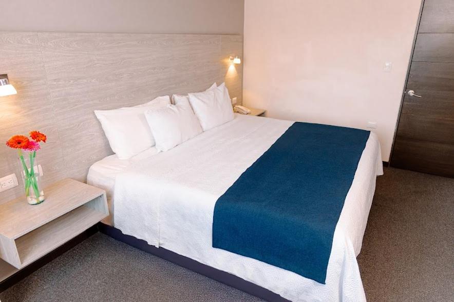 Kasa Hotel & Suites Irapuato Luaran gambar